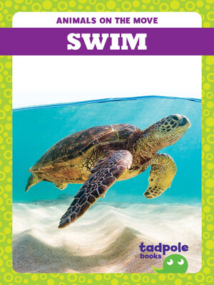 cover image of Swim
